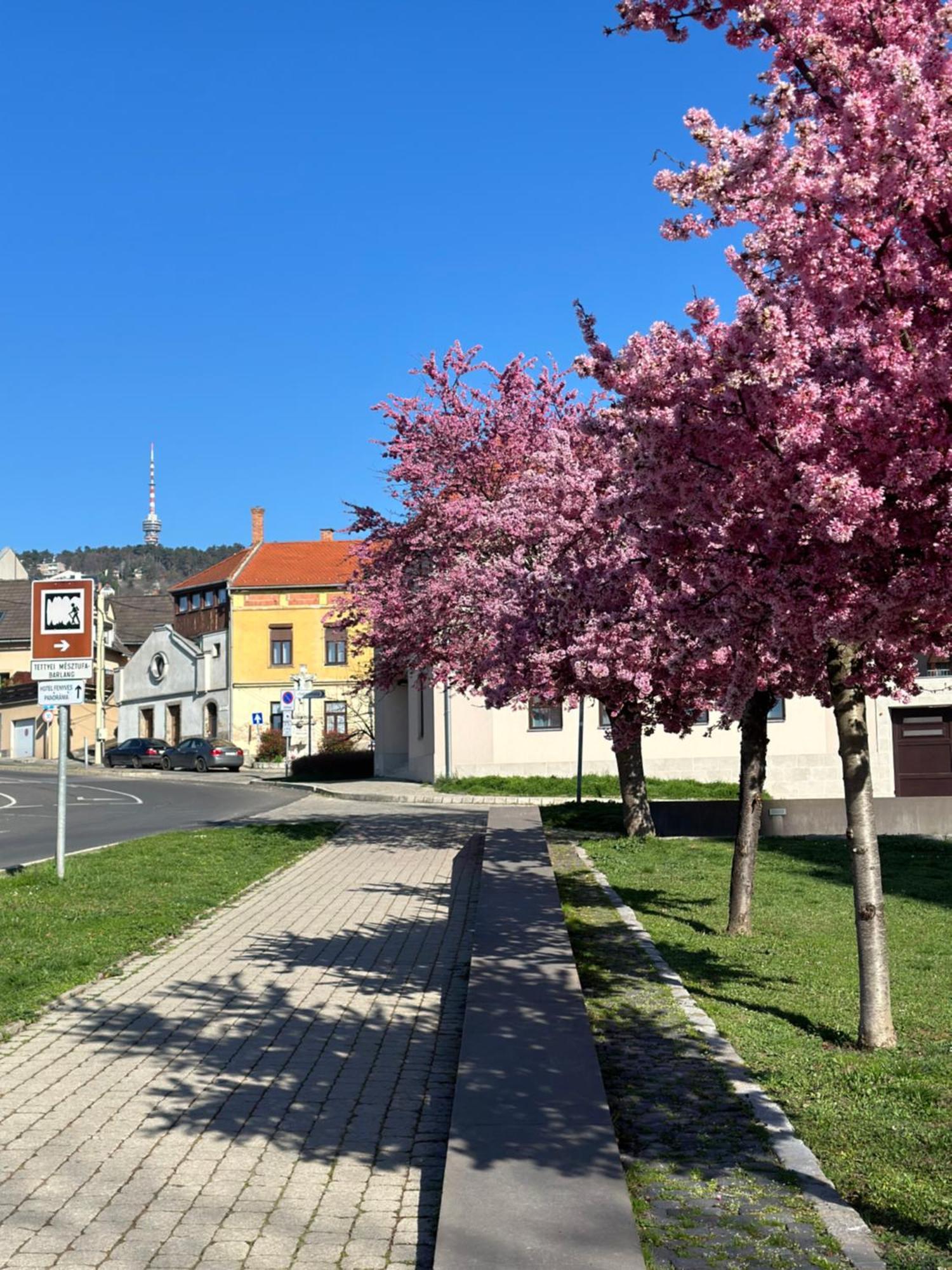 M18 - Csak Egy Lepes A Toertenelmi Belvaros - Free Parking Pécs Extérieur photo